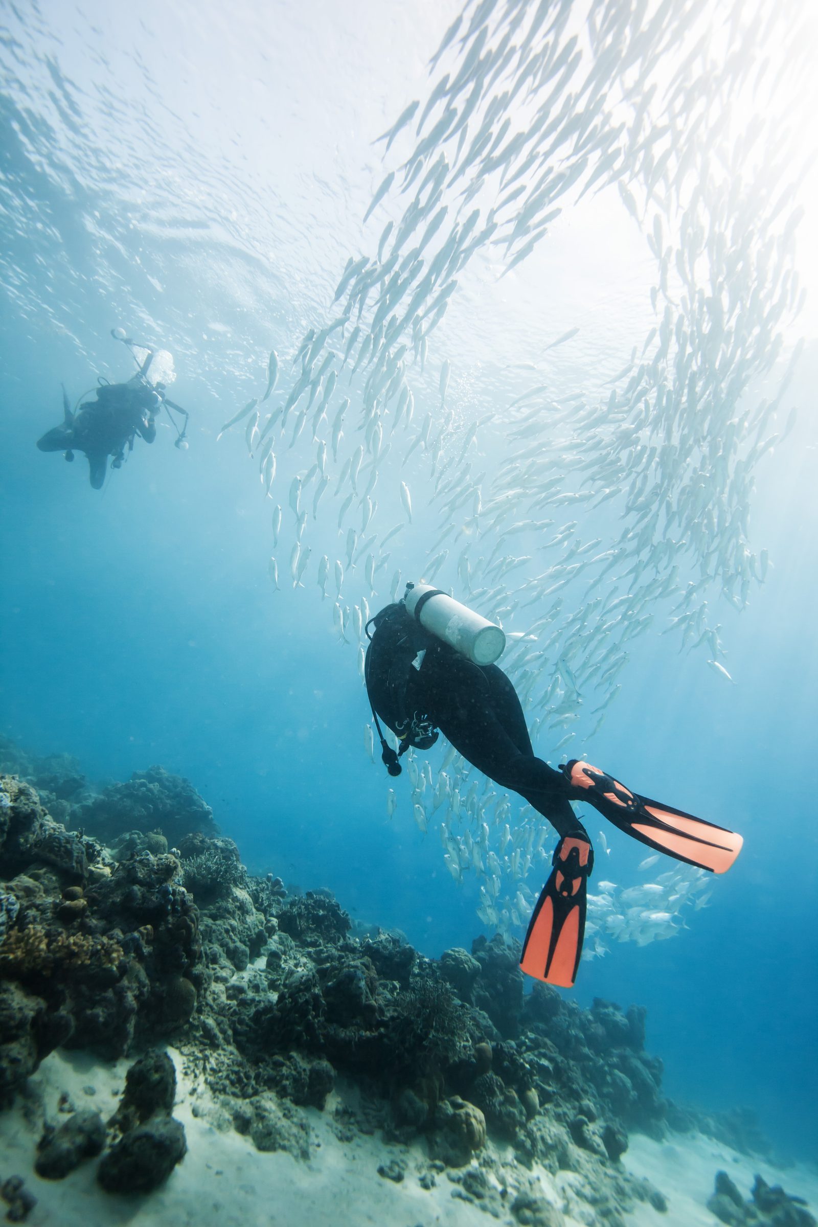 Buceo entre peces en el arrecife